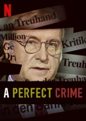 مستند سریال A Perfect Crime یک جنایت بی نقص