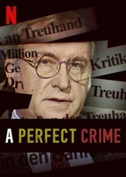 مستند سریال A Perfect Crime یک جنایت بی نقص