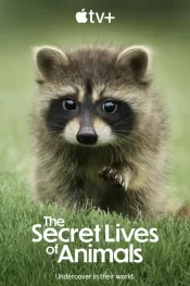 دانلود سریال The Secret Lives of Animals 2024