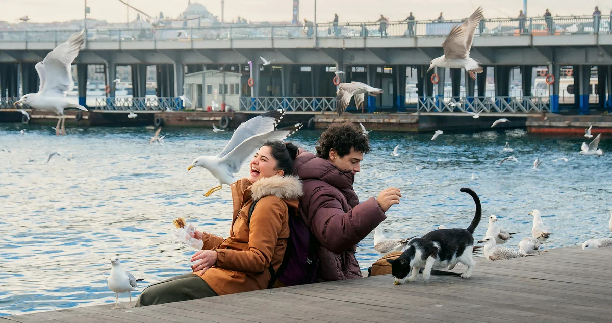 دانلود سریال دایره المعارف استانبول Istanbul Encyclopedia