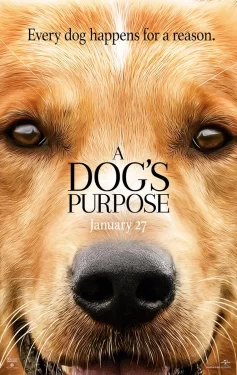 دانلود فیلم A Dog’s Purpose 2017 هدف سگ
