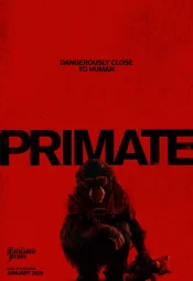 دانلود فیلم Primate 2026 پریمات