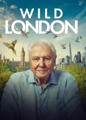 دانلود فیلم Wild London 2026 لندن وحشی